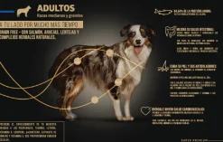 Alimento Perro Wellness Adultos Razas Medianas y Grandes Super Premium