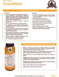 Aminopoder