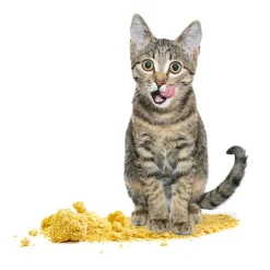 Arena para Gatos de Maíz Petoys Ecológica y Control de Olores