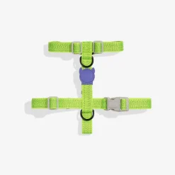Arnes para Perro Nox Lumen seguro y reflectivo. Arnes Zeedog para Perro