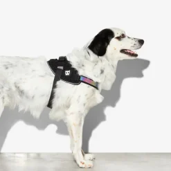Arnes para Perro Pequeño Gotham Flyharness