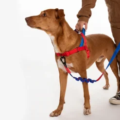 Arnés Anti Tirones Spider-Man para Perro edición Marvel