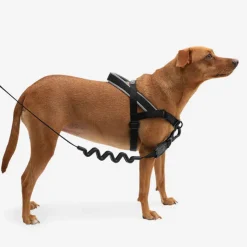 Arnés Nox anti tirones reflectivo para perro