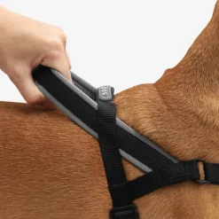Arnés Nox anti tirones reflectivo para perro