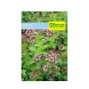 Aromática Orégano 0.3 gr | Semillas Jardín | Tierragro Colombia