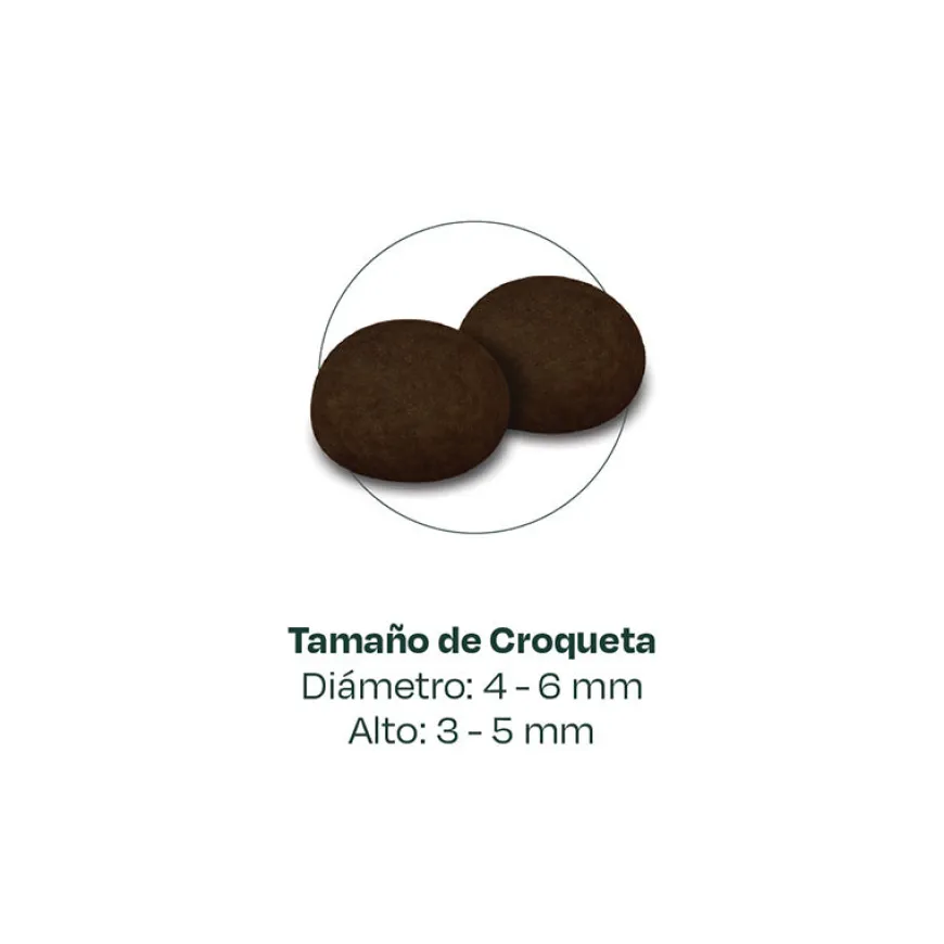 Bonnat Alimento Super Premiun Para Gatitos 1,5 kg
