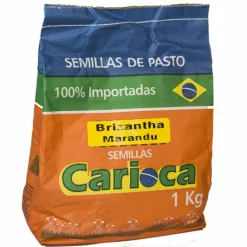 Brachiaria Brizanta Marandu 1 kg | Semillas Agro | Tierragro Colombia