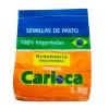 Brachiaria Decumbens x 1 kg | Semillas Agro | Tierragro Colombia