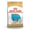 Bulldog Francés Cachorro 3Kg Royal Canin