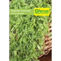 Cilantro Nacional Patimorado x 5g Semillas Organicas Cultivo Abundante