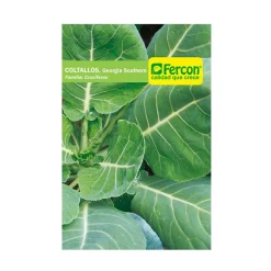 Col Tallos 5 gr | Semillas Jardín | Tierragro Colombia