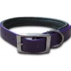 Collar Perro Talla M | Accesorios Mascotas | Tierragro Colombia