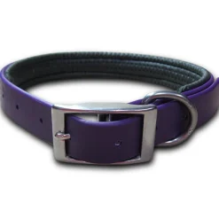 Collar Perro Talla M | Accesorios Mascotas | Tierragro Colombia
