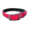 Collar Perro Talla S | Accesorios Mascotas | Compra Online en Tierragro.