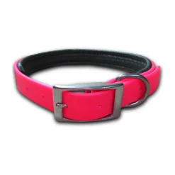 Collar Perro Talla S | Accesorios Mascotas | Compra Online en Tierragro.