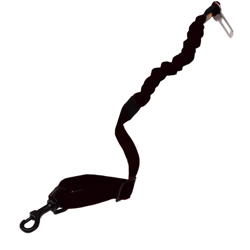 Correa De Seguridad