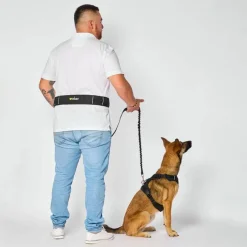 Correa Manos Libres para Perro Comodidad y Libertad en Paseos