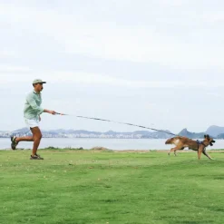 Correa Para Perro Long Leash Primo