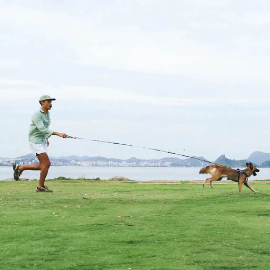 Correa Para Perro Long Leash Primo