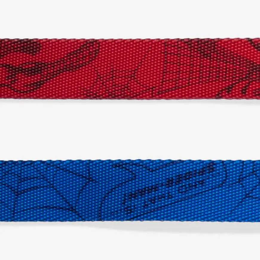 Correa Spider-Man para perro Marvel diseño resistente. Zeedog