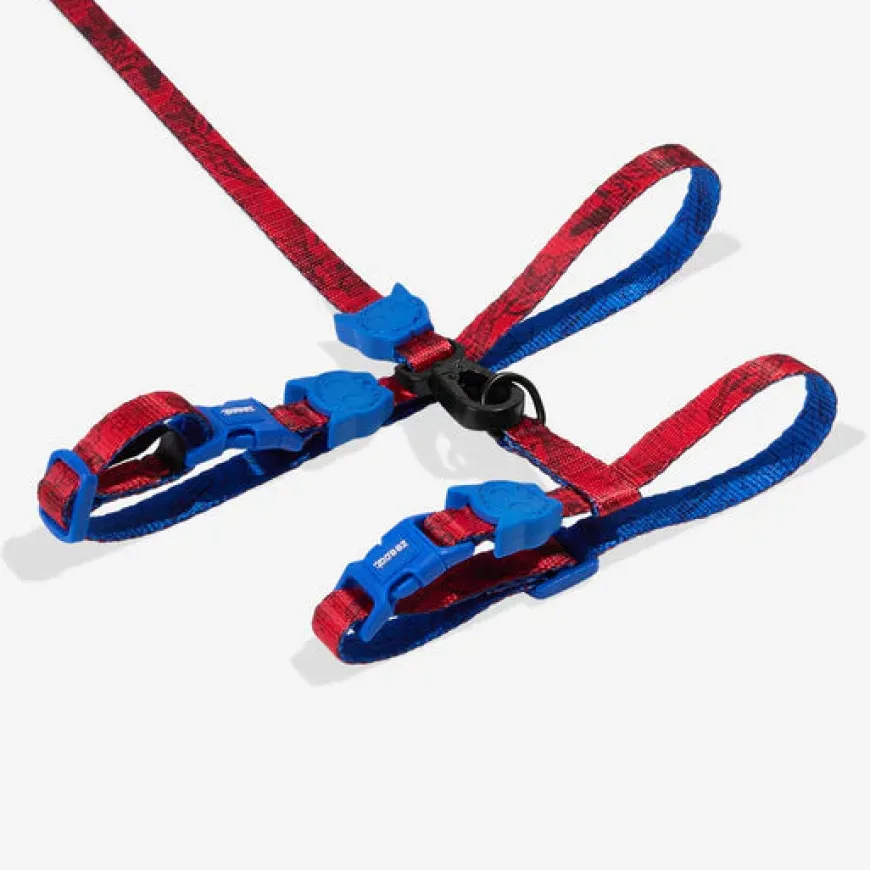 Correa y Arnes Para Gato Spider Man