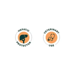 Dieta Hepática Gatos Bonnat Veterinary Diet Feline Hepatic Suport