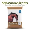 Equiforma Sal Mineralizada 10 Kg Suplemento Nutricional para Caballos