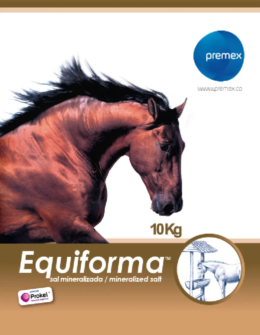 Equiforma Sal Mineralizada 10 Kg Suplemento Nutricional para Caballos