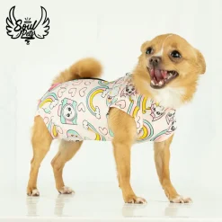 Faja Postquirurgica Hembra xl Gata O Perra