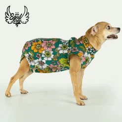 Faja Postquirurgica Macho xs Gato O Perro