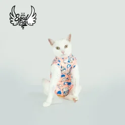 Faja Postquirurgica Macho M Gato O Perro