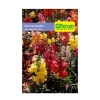 Flor Boca de Dragón Colores 0.3 gr | Semillas Jardín | Tierragro Colombia