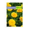 Flor Calendula 1 gr | Semillas Jardín | Tierragro Colombia
