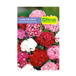 Flor Clavel Poeta 0.6 gr | Semillas Jardín | Tierragro Colombia