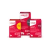 Galliprant Alivio del Dolor Articular en Perros de Forma Segura