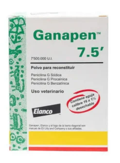Ganapen Antibiótico para Equinos y Bovinos Acción Prolongada y Eficaz