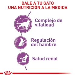 Gato Esterilizado 7+ Royal Canin 1.5 Kg