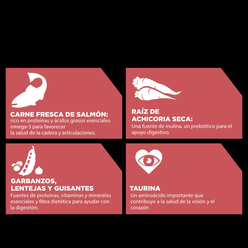 Go! Sensitivities Receta De Salmón Para Perros 1.6Kg