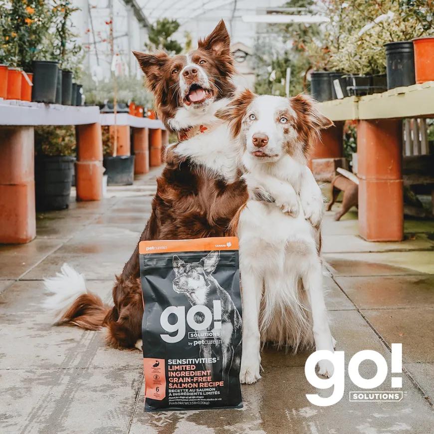 Go! Sensitivities Receta De Salmón Para Perros 1.6Kg