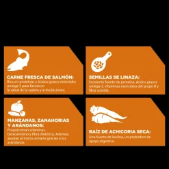 Go! Skin + Coat Receta De Salmón Para Gatos 3.7Kg