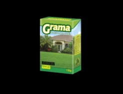 Grama Jardín Ryegrass Clima Frío x1 kg | Semillas Jardín | Tierragro Colombia