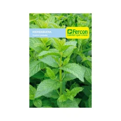 Hierbabuena 0.1 gr | Semillas Jardín | Tierragro Colombia