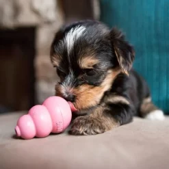 Kong Puppy Portabocas | Juguete Para Perro