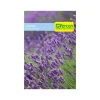 Lavanda 0.3 gr | Semillas Jardín | Tierragro Colombia