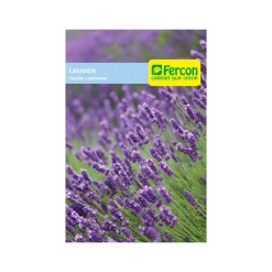 Lavanda 0.3 gr | Semillas Jardín | Tierragro Colombia