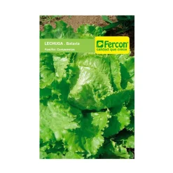 Lechuga 2 gr | Semillas Jardín | Tierragro Colombia