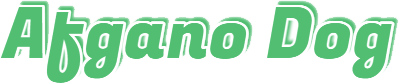 Afgano Dog