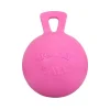Manzana Colgante C/Jolly Ball S/Rpto | Tierragro Colombia
