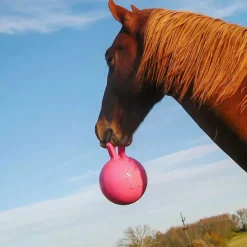 Manzana Colgante C/Jolly Ball S/Rpto | Tierragro Colombia