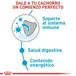 Mini Puppy Cachorro Razas Pequeñas Royal Canin 2 kg